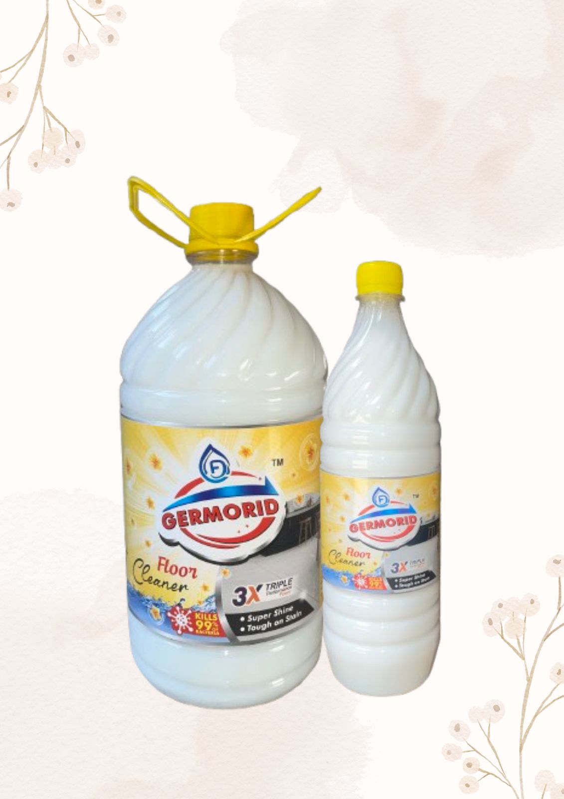 Floor Cleaner